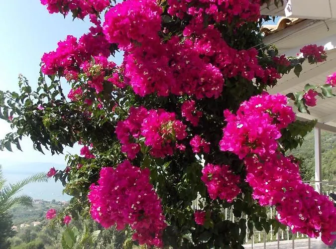 Vakantiehuis Vasiliki View