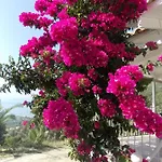 Semesterbostad Vasiliki View