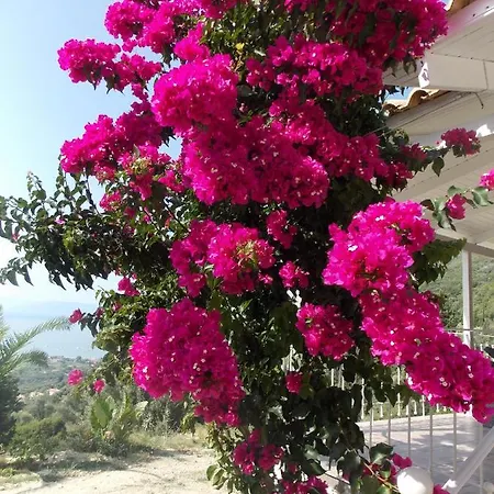 Holiday home Vasiliki View